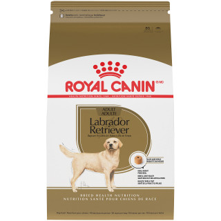 Royal Canin Breed Health Nutrition Labrador Retriever Adult Dry Dog Food